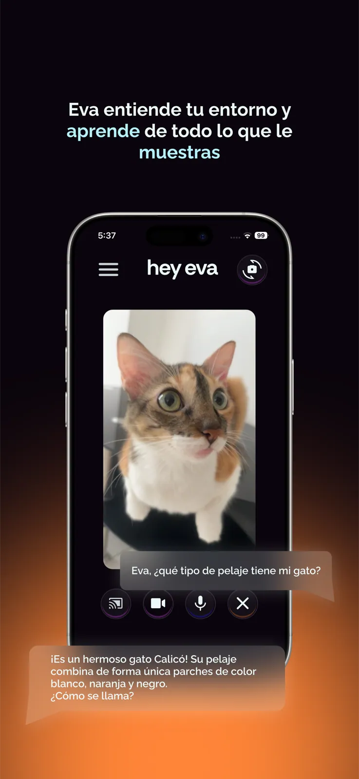Eva describing a cat's coat from the camera view (iPhone)